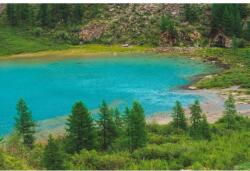 MÉDIA Öntapadós tapéta Natura113, 350 x 200 cm (FOTOTAP12860)