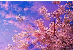 MÉDIA Öntapadó és mosható falfestmény Cseresznyevirágok4, 350 x 200 cm (FOTOTAP7301)