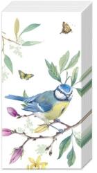 Ihr SPRING STORY papírzsebkendő csomag 21x21cm (PT1066600)