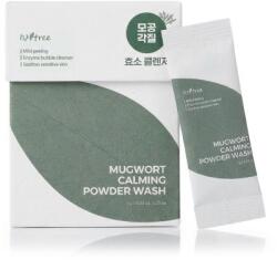 ISNTREE Mugwort arctisztító hab minden bőrtípus 25x1 g nőknek