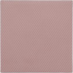 Thermal Grizzly Pasta Termoconductoare Thermal Grizzly Minus Pad 8, 100 x 100 x 3 mm (TG-MP8-100-100-30-1R)