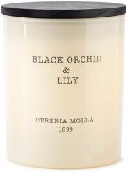 Cereria Mollá Lumânare parfumată Cereria Molla - Black Orchid & Lily, 230 g (5543)