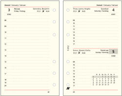 Saturnus S312 2025 (Napi beoszt. ) Betétlap csomag, chamois (krémszínű) (25SS312-CHA)
