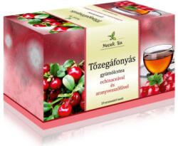 Mecsek Tea gyümölcstea tőzegáfonyás 20x2g 40 g - delfinbuvar