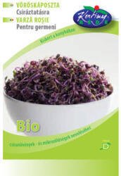Rédei Kertimag bio vöröskáposztamag csíráztatásra 15 g - delfinbuvar
