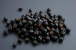  Liofilizált (fagyasztva szárított)Tasmán bors 5 g/csomag