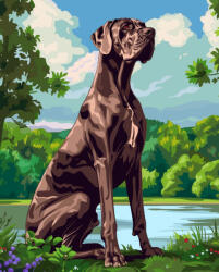 Alkotásutca Német dog - Számfestő készlet kereten 40x50