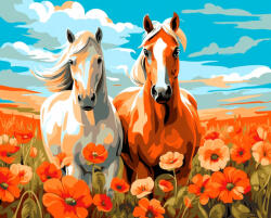 Alkotásutca Pipacsos pacikaland - Számfestő készlet kereten 40x50