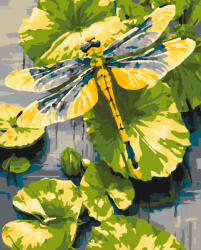 Alkotásutca Szitakötő liliom - Számfestő készlet kereten 40x50