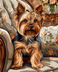 Alkotásutca Ülő yorkie - Számfestő készlet kereten 40x50