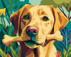 Alkotásutca Kutyacsont - Számfestő készlet kereten 40x50