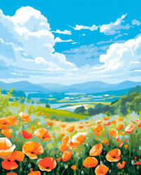 Alkotásutca Virágmező - Számfestő készlet kereten 40x50