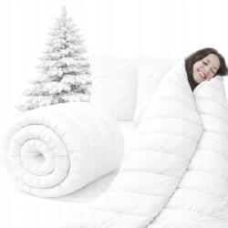 Strefa Spania Téli paplan vastag 140x200 2x párna 70x80 bolyhos meleg szett Lengyel (ZEST-CIEP-MAX-140X200+2X70X80 s_P)