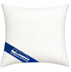 Strefa Spania Visco termoplasztikus párna |egészséges Alvás| Jancsi 40x40 Lengyel Gyártás (VSC40X40 lux)
