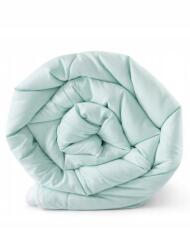  Paplan 160x200cm Meleg Steppelt Egész éves Menta-fehér Puha Könnyű (COLOURS)