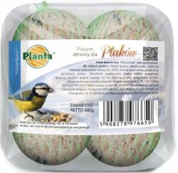 Planta Téli madáreledel 4 golyó, magvak, mogyoró, 880g, akasztós háló (5908278976650)