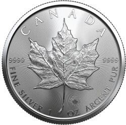 Royal Canadian Mint | Maple Leaf 1 uncia | ezüstérme (2091001xx)