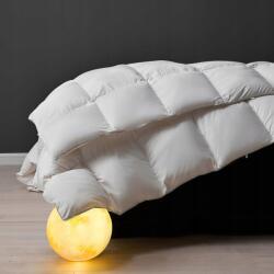  Nyári pihe-puha paplan 155x220cm Könnyű libapehelyből és tollból Fehér (B0DFH3L1PX)