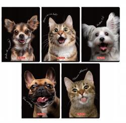 Herlitz Iskolai Füzet A5 60 Lapos Kockás Állatok Puha Borítós (4905212674970)