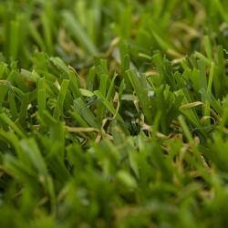 DEKORDOM Alva Prémium Műfű 1, 7CM 2M Alva