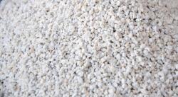 Jawar Perlit kerti adalék 0-2, 5 mm 2 L talajhoz (EP180-5L)