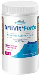  VITAR Vitar Veterinary ArtiVit Forte 600 g