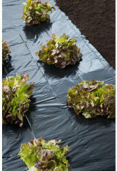 Nature Fólia, takaró, fekete 2x100m, 80 mikron - pepita