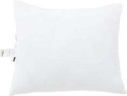 vidaXL Párnák 2 pcs Fehér 60 x 70 cm 85gsm 100% poliészter (42007829) (42007829)