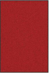 vidaXL Piros Négyszögletes Lábtörlő 120x180 cm (4100794) (4100794)