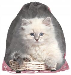 PASO Iskolatáska tornacipőhöz Macska Paso szürke kislány táska hátizsák (PP24AW-712)