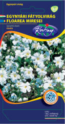 Rédei Kertimag Zrt Egynyári fátyolvirág (Gypsophila elegans) fehér (2 g)