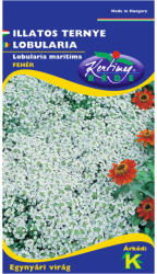 Rédei Kertimag Zrt Illatos ternye (Lobularia maritima) fehér (1 g)
