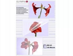 Olympia Lamináló fólia A3 125 mic. 50 db (9175)