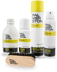 Palmerston 5 az 1-ben cipőtisztító és frissítő szett Palmerston (Zestaw do czyszczenia i ochrony butów)