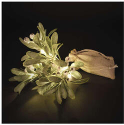 EMOS EMOS DCTW29, LED dekoráció - fagyöngyág, 2x AA, meleg fehér, időzítő (DCTW29)