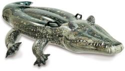 Intex Intex 57551 Aligátor hullámlovagló - 170 x 86 cm Ajánlott 3-6 éves korig unisex (22828)