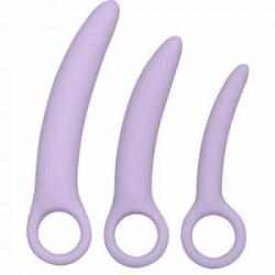 Boss of Toys CalExotics Dr. Laura Berman Alena Silicone Dilator Set, 3 Sizes