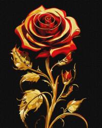 Ideyka Festmény Számok Szerint A Szépség Szimbóluma 40X50CM (4823104350187)