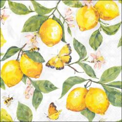 Ambiente Fresh lemons papírszalvéta 33x33cm, 20db-os