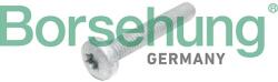 Borsehung Skrutka hlavy valcov Borsehung B10645 (B10645)