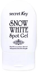Secret Key - Snow White Spot Gel 65g