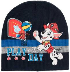 Kids movie heroes Шапка paw patrol (hw4080-navy)