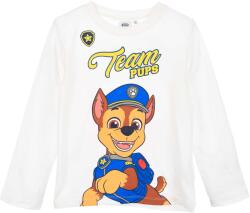 Kids movie heroes Блуза Paw Patrol (HY10053-WHITE)