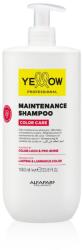 ALFAPARF Milano YE Color Care Shampoo 1 l