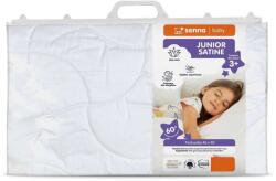  Párna 40×60 Junior Baby Senna SATINE Aloe-Vera (1213587)