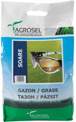 Agrosel Seminte gazon soare Agrosel, 5 kg