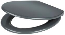 GoodHome Capac WC GOODHOME Cooke & Lewis, inchidere lenta, termoplastic, gri