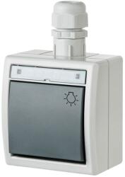 AQUANT intrerupator simplu PT IP65 gri