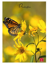 Pigna Butterflies A4 42 lap, tűzött, vonalas füzet (P1111-1280) - tintasziget