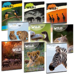 Ars Una The Eyes of the Wild 5235 A4 extra kapcsos kockás füzet (53122353) - tintasziget
